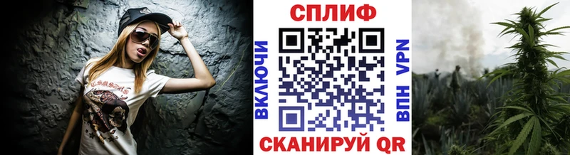 Как найти наркотики Дигора Конопля  APVP  Гашиш  КОКАИН 