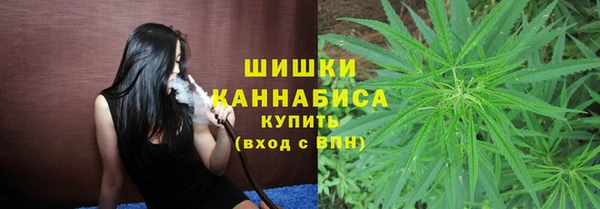 винт Бронницы