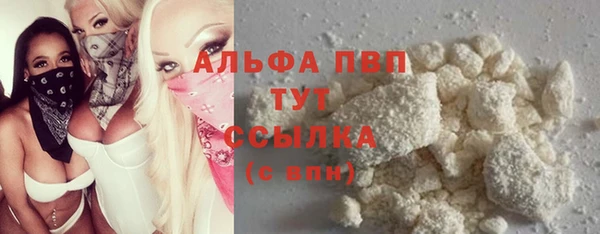 прущие грибы Богданович