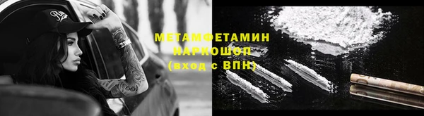 прущие грибы Богданович