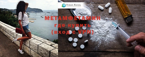 прущие грибы Богданович