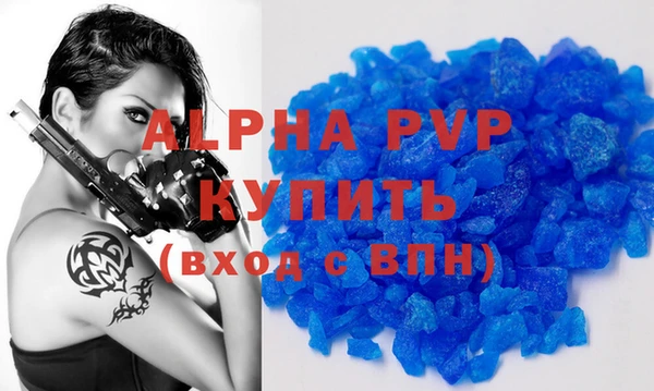 прущие грибы Богданович