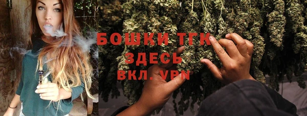 хмурый Богородск