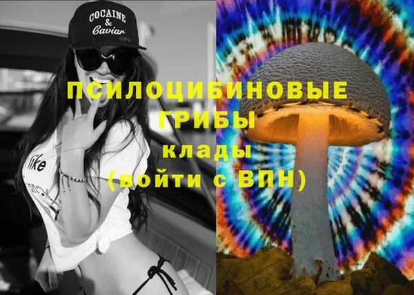 трава Богородицк