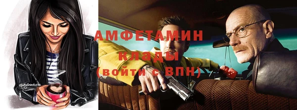 прущие грибы Богданович