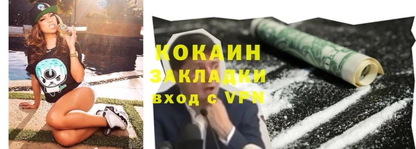 прущие грибы Богданович