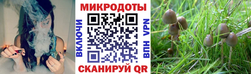 Галлюциногенные грибы прущие грибы  Дигора 